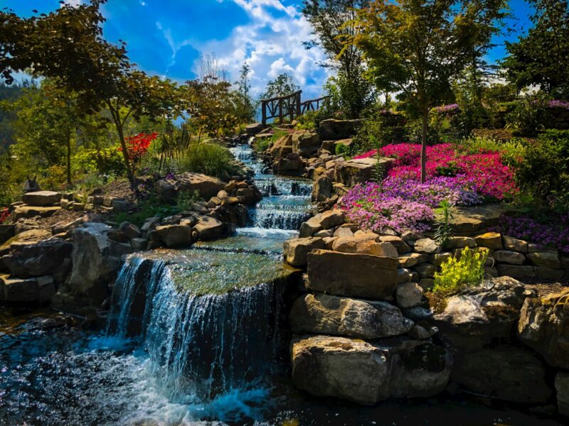 ソフトウェア開発とは？システムエンジニアとプログラマーの違い